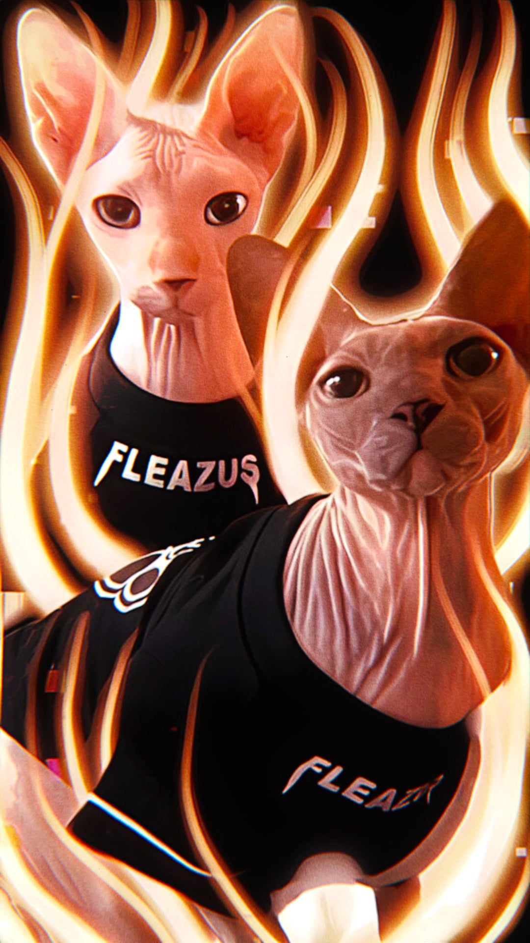 FLEAZUS Pet Tee STRIPES image 0