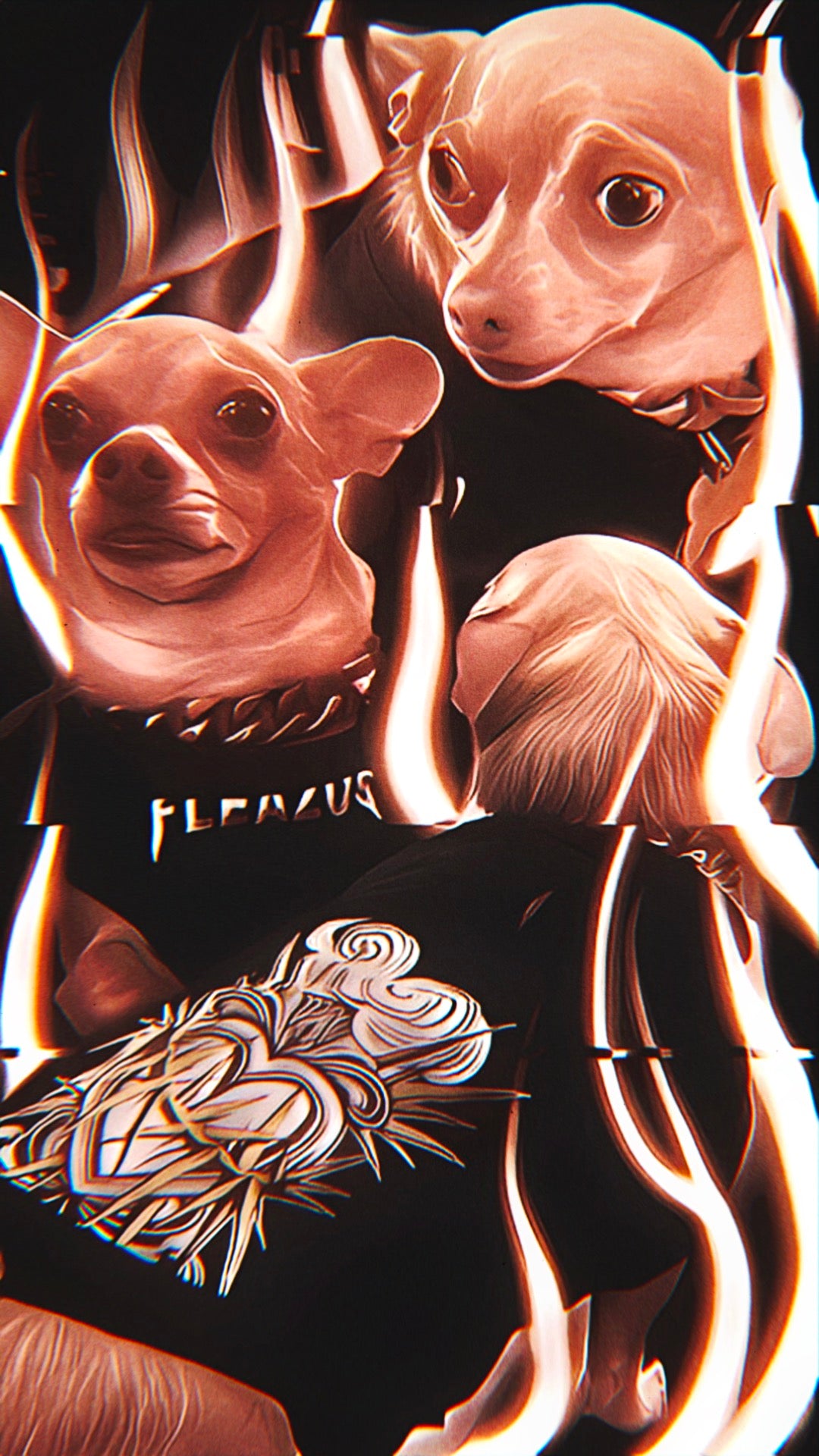 FLEAZUS Pet Vest HEART image 0