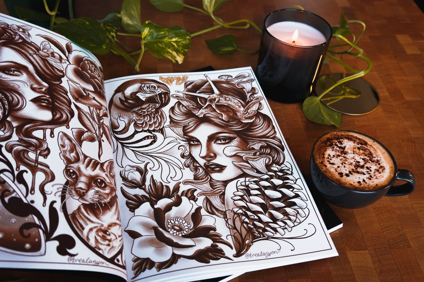 BOOK BUNDLE image 5