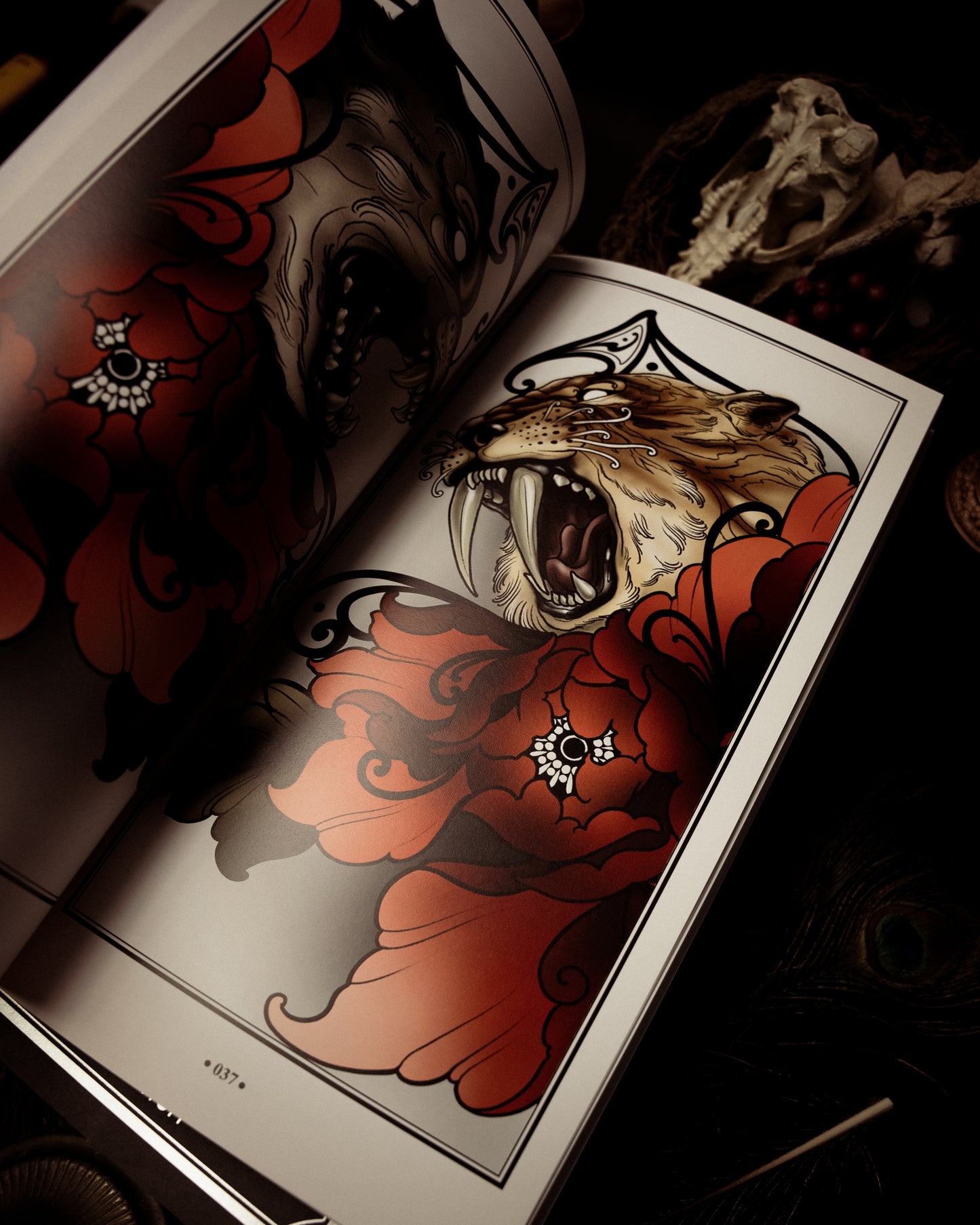 BOOK BUNDLE image 3