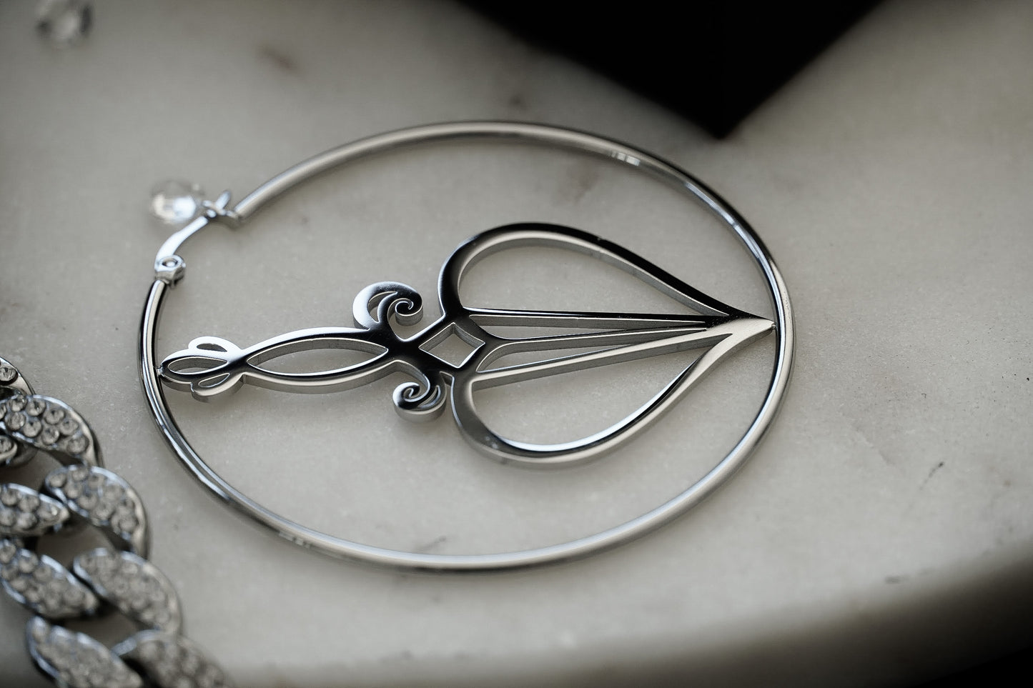 Logo Hoops Silver image 2