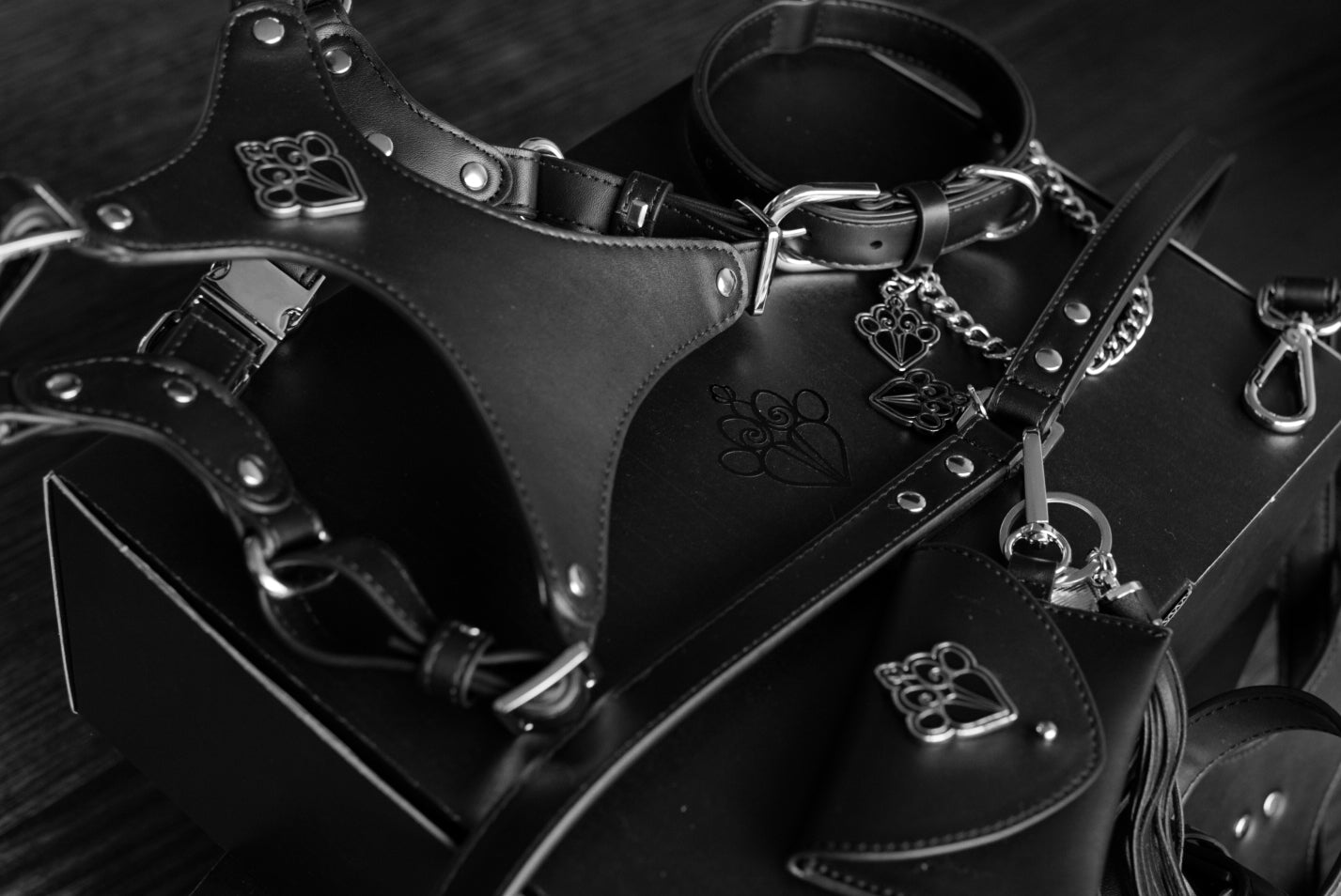 FLEAZUS COUTURE Harness Set image 7