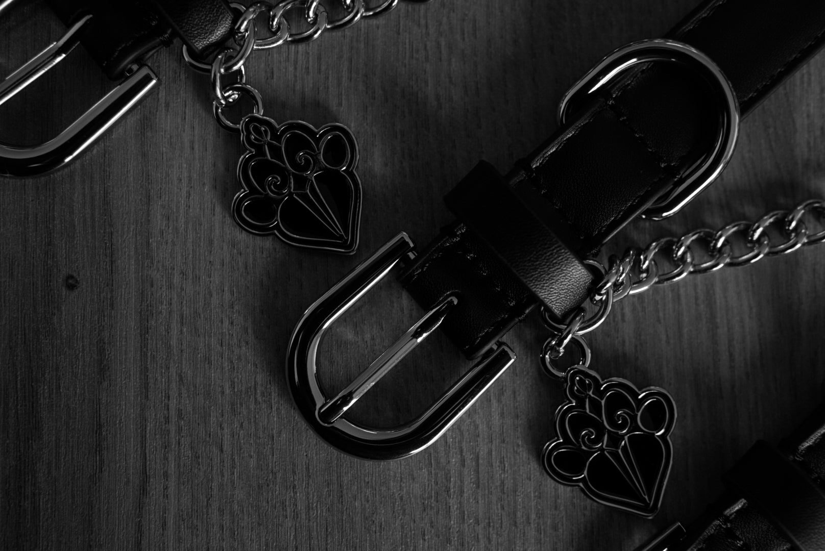 FLEAZUS COUTURE Harness Set image 3