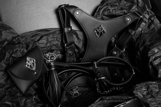 FLEAZUS COUTURE Harness Set image 0