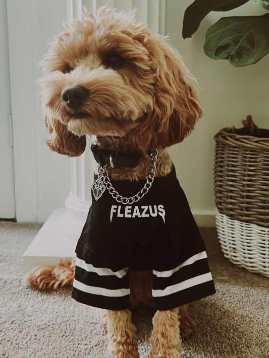 FLEAZUS Pet Tee STRIPES