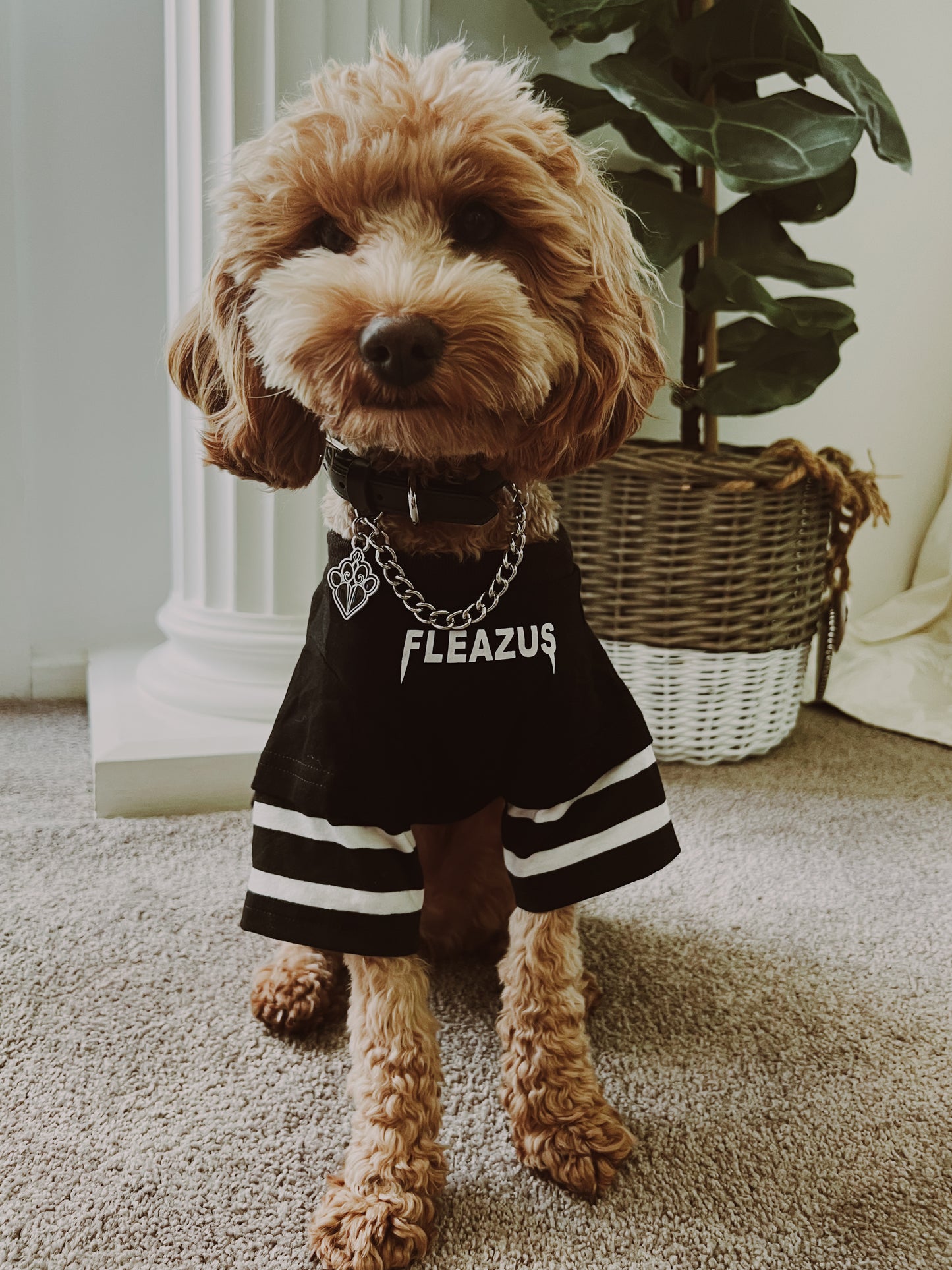 FLEAZUS Pet Tee STRIPES