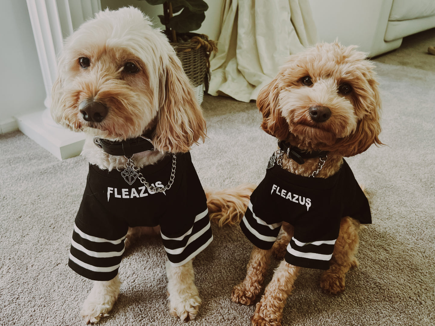 FLEAZUS Pet Tee STRIPES