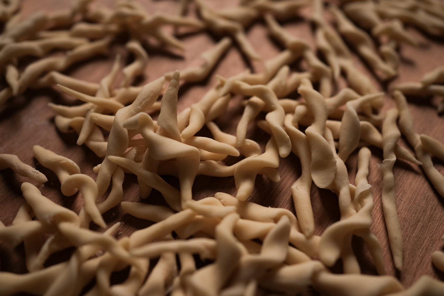 TROFIE Fine Art Print