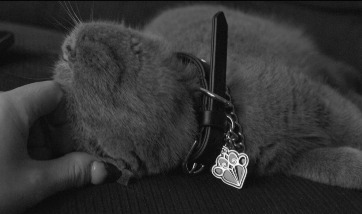 FLEAZUS COUTURE Collar  image 2